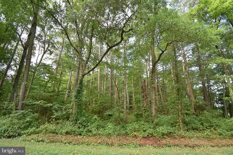 Kemps Lane, Mcdaniel, MD 21647 photo 3