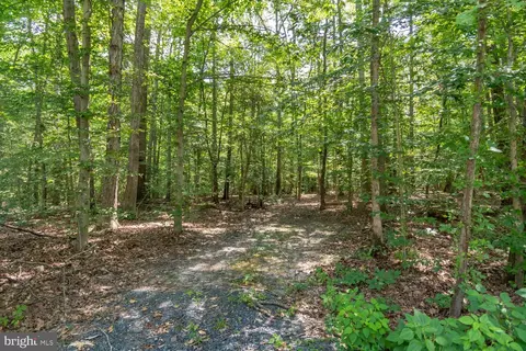 Boston Cliff Road, Trappe, MD 21673