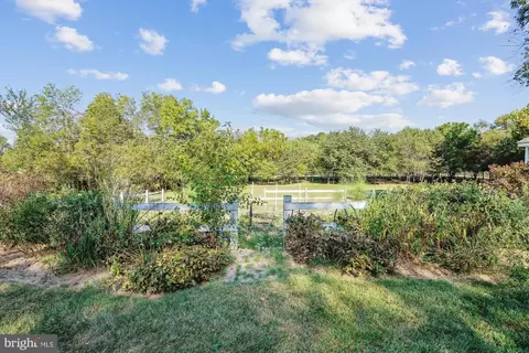Exterior - 4500 Grove Rd, Trappe, MD 21673 photo 9 of 15