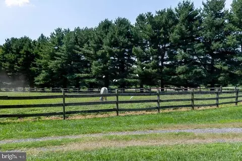 Other - 4500 Grove Rd, Trappe, MD 21673 photo 2 of 24
