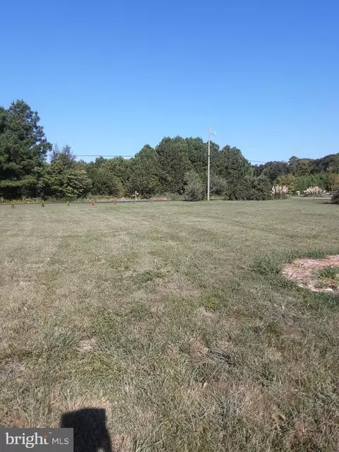 Bar Neck Road, Tilghman, MD 21671