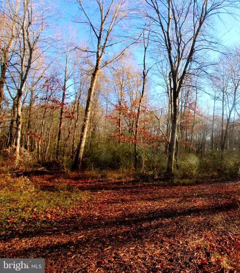 Baptist Road, Cordova, MD 21625