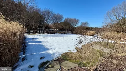 Other - 5528 Marlan Dr, Trappe, MD 21673 photo 36 of 41