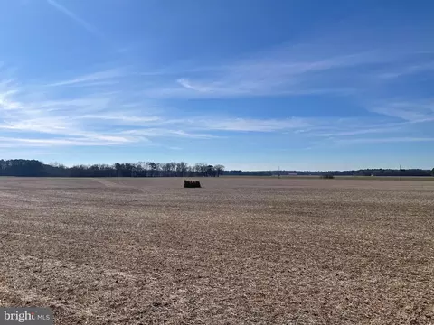 Beaver Dam Rd, Trappe, MD 21673 photo 17