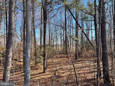 Beaver Dam Rd, Trappe, MD 21673 photo 14