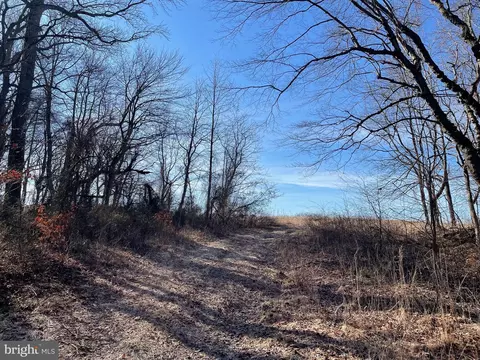 Beaver Dam Rd, Trappe, MD 21673 photo 9