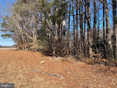 Beaver Dam Rd, Trappe, MD 21673 photo 6