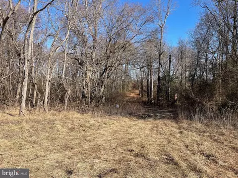 Beaver Dam Rd, Trappe, MD 21673 photo 5