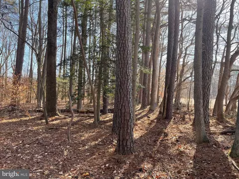 Beaver Dam Rd, Trappe, MD 21673 photo 12