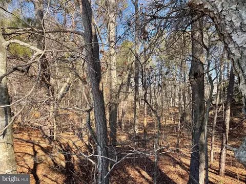 Beaver Dam Rd, Trappe, MD 21673 photo 13