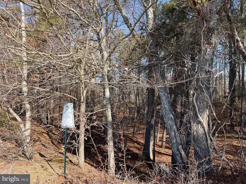 Beaver Dam Rd, Trappe, MD 21673 photo 15