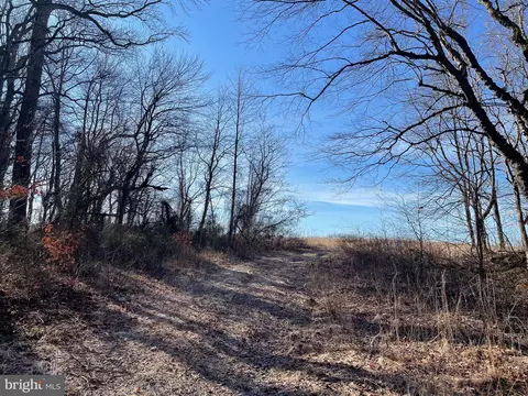 Beaver Dam Rd, Trappe, MD 21673 photo 8