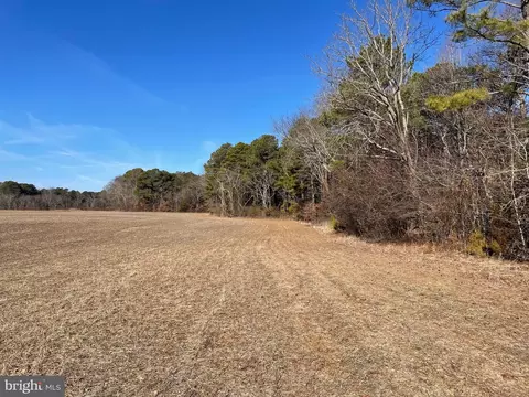 Beaver Dam Rd, Trappe, MD 21673 photo 16