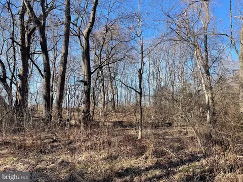 Beaver Dam Rd, Trappe, MD 21673 photo 11