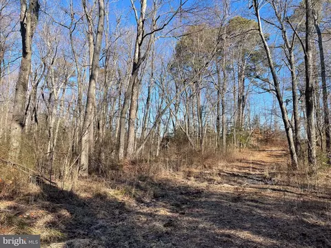 Beaver Dam Rd, Trappe, MD 21673 photo 3