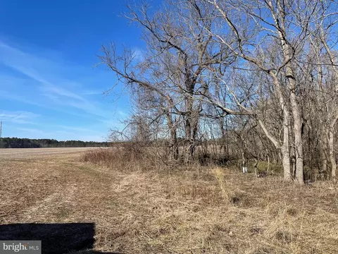 Beaver Dam Rd, Trappe, MD 21673 photo 4