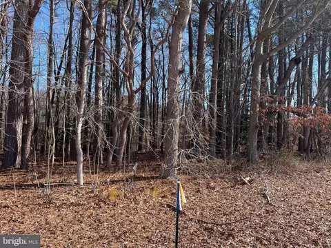 Beaver Dam Rd, Trappe, MD 21673 photo 7