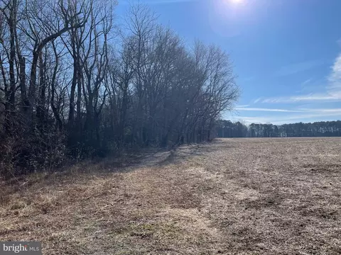 Beaver Dam Rd, Trappe, MD 21673 photo 10