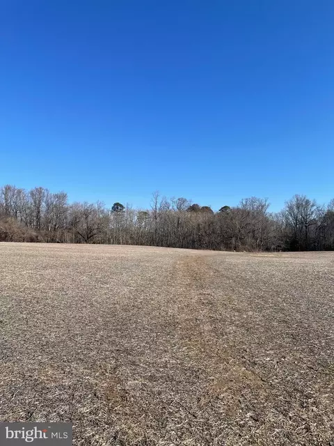 lot S 1-4 Beaver Dam Rd, Trappe, MD 21673