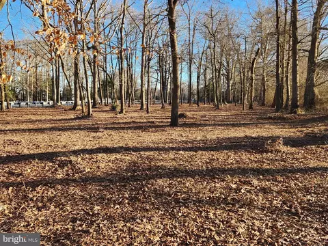 Ocean Gateway, Trappe, MD 21673 photo 2
