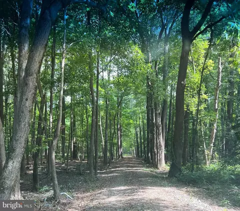 0 Deep Neck Rd, Royal Oak, MD 21662