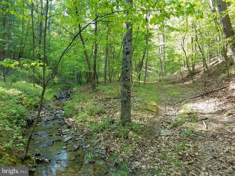 14902 Buck Resort Ln, Hancock, MD 21750 photo 29
