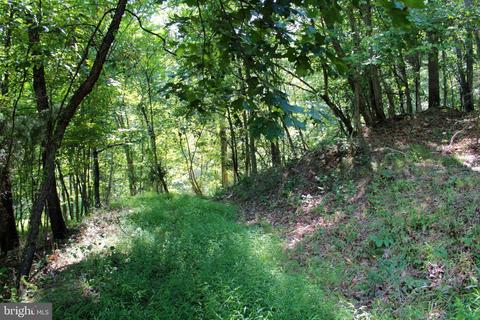 14902 Buck Resort Ln, Hancock, MD 21750 photo 38