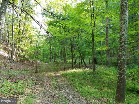 14902 Buck Resort Ln, Hancock, MD 21750 photo 33