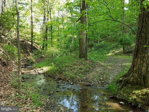 14902 Buck Resort Ln, Hancock, MD 21750 photo 37