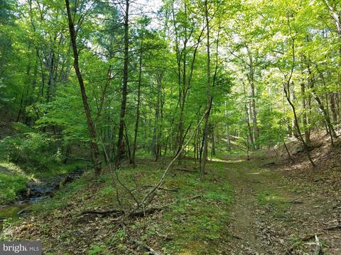 14902 Buck Resort Ln, Hancock, MD 21750 photo 31