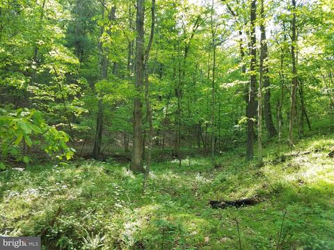 14902 Buck Resort Ln, Hancock, MD 21750 photo 35