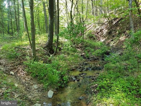 14902 Buck Resort Ln, Hancock, MD 21750 photo 32