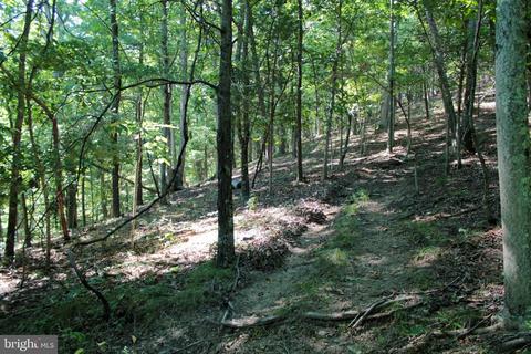 14902 Buck Resort Ln, Hancock, MD 21750 photo 39