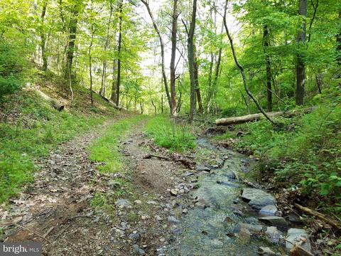 14902 Buck Resort Ln, Hancock, MD 21750 photo 30