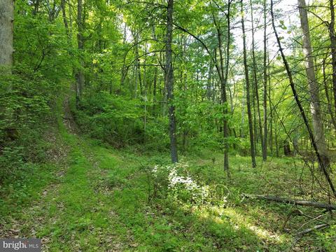 14902 Buck Resort Ln, Hancock, MD 21750 photo 36