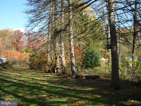 14429 Macafee Hill Rd, Cascade, MD 21719 photo 64