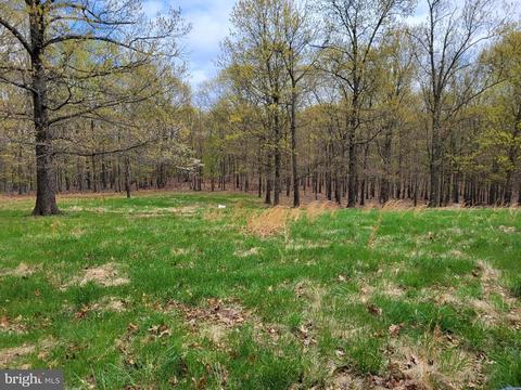 3045 Mann Rd, Hancock, MD 21750 photo 8