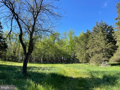 13529 Spickler Rd, Clear Spring, MD 21722 photo 48