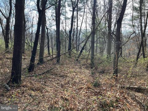 Shanktown Road, Big Pool, MD 21711