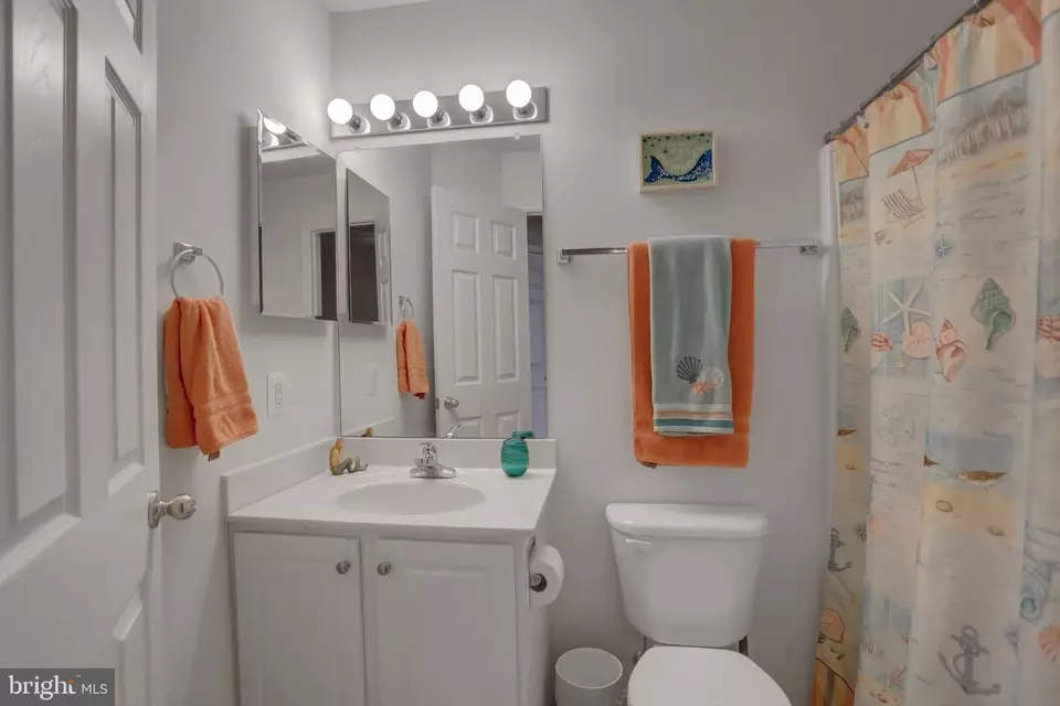  305 Green Fern Cir, Boonsboro, MD 21713 photo 24