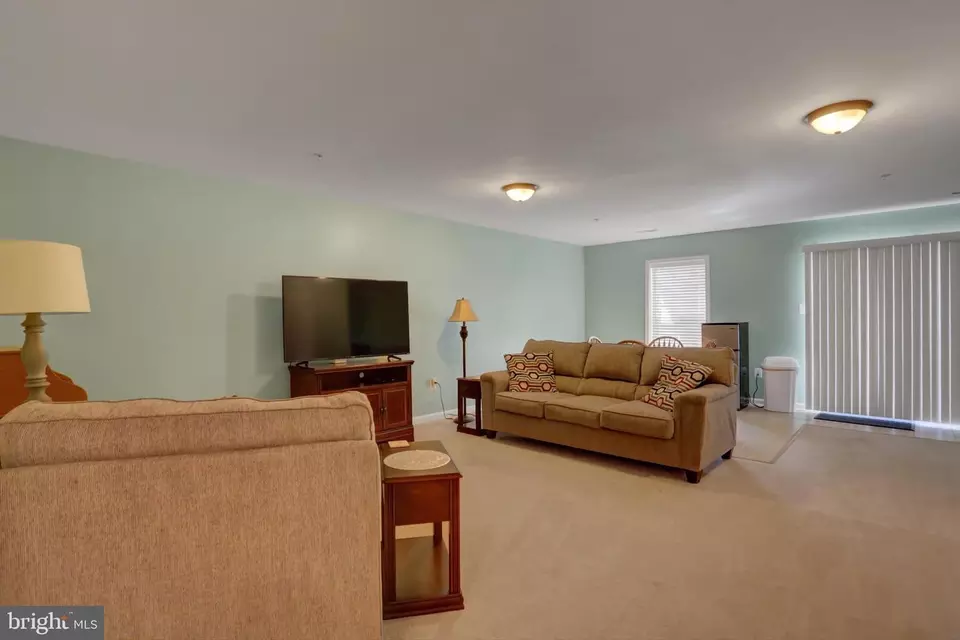  305 Green Fern Cir, Boonsboro, MD 21713 photo 28