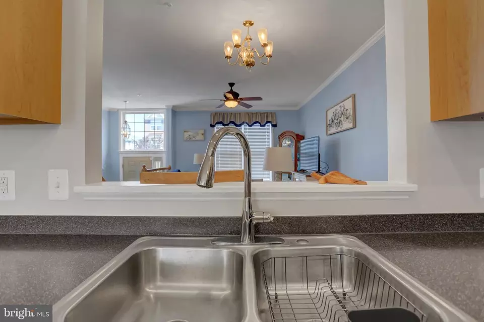  305 Green Fern Cir, Boonsboro, MD 21713 photo 9