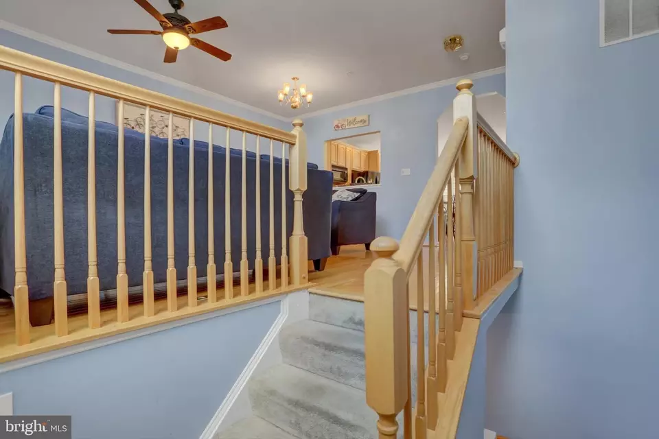  305 Green Fern Cir, Boonsboro, MD 21713 photo 43