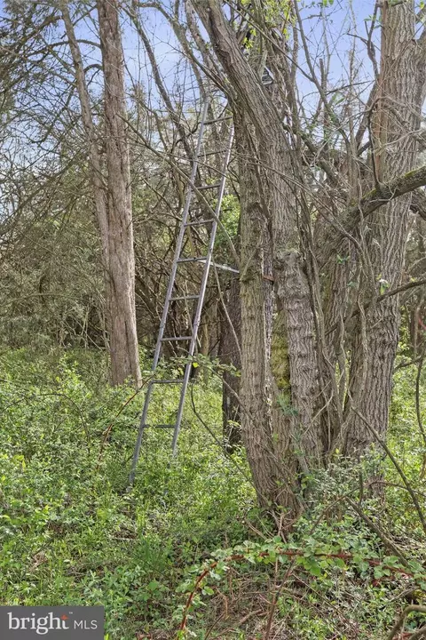 Other - 15542 Broadfording Rd, Clear Spring, MD 21722 photo 14 of 15