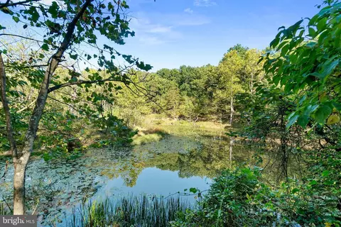 View/Area - 10819 Shanktown Rd, Big Pool, MD 21711 photo 9 of 16