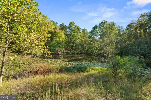Other - 10819 Shanktown Rd, Big Pool, MD 21711 photo 8 of 20