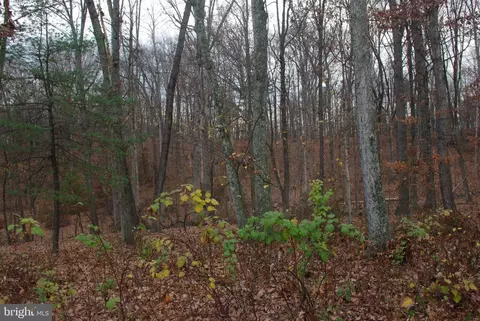 6217 Robinson Rd, Hancock, MD 21750 photo 31