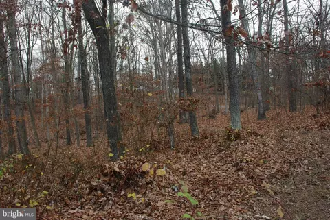 6217 Robinson Rd, Hancock, MD 21750 photo 32