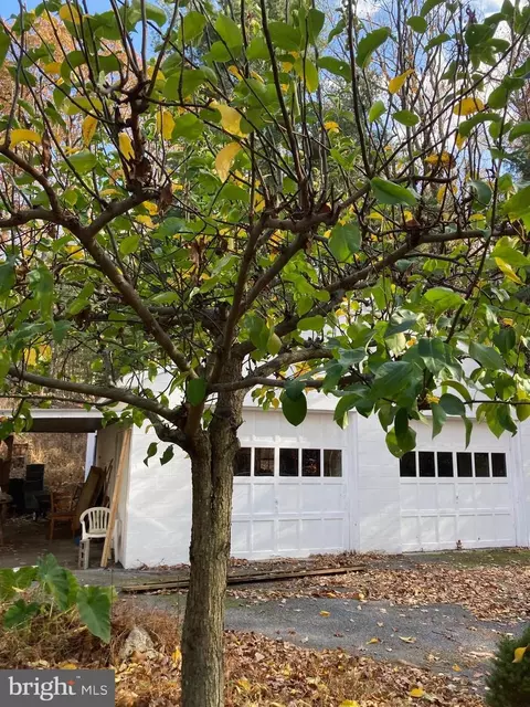 13703 Edgemont Rd, Smithsburg, MD 21783 photo 8