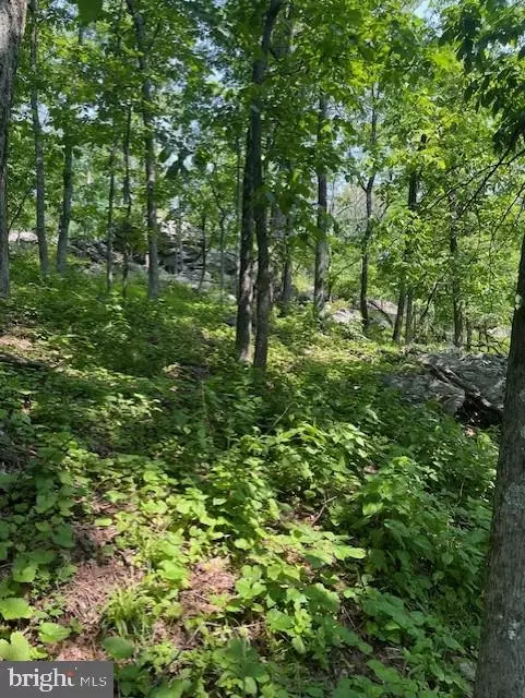  Reed Road, Knoxville, MD 21758 photo 4